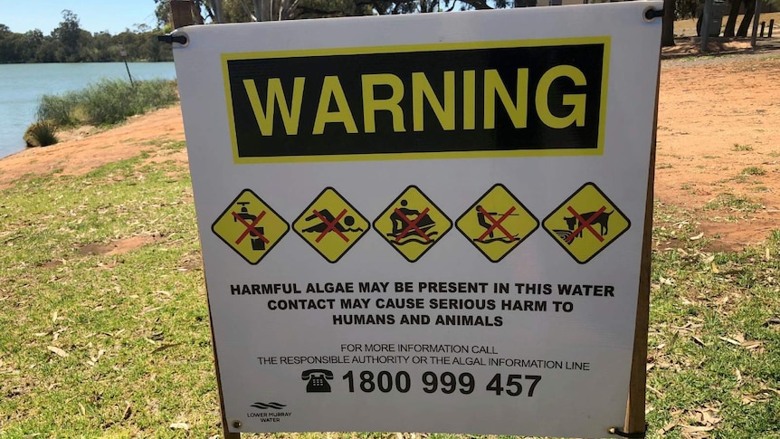 A sign warning of blue-green algae in a river.