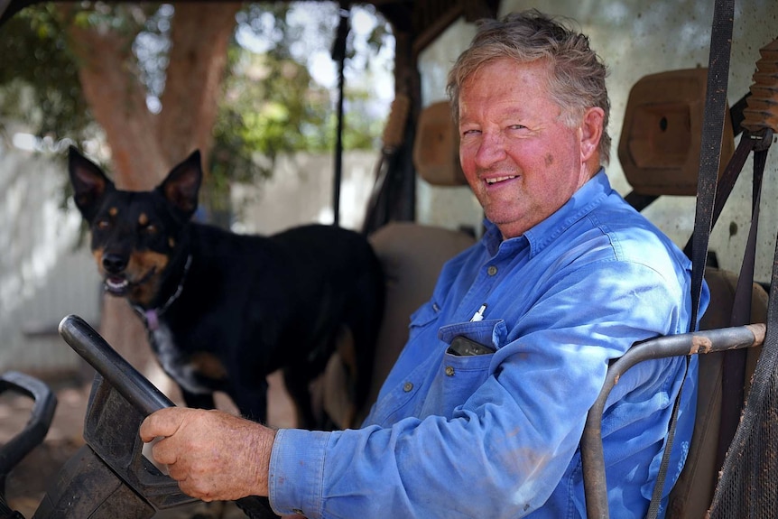 An elderly man in a blue shirt sits in the cabin of his farm buggie next to a kelpie dog