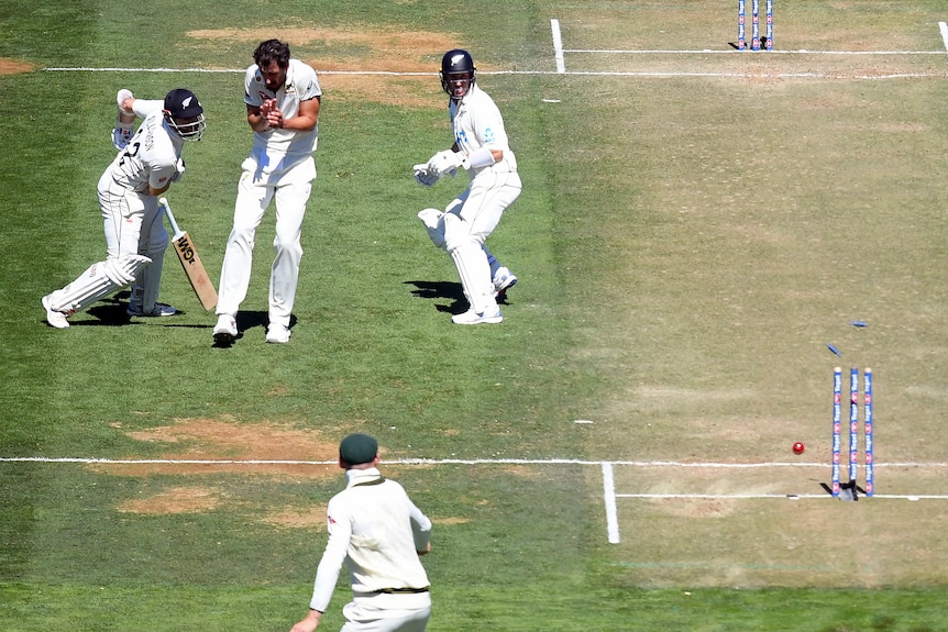 Australia bowler Mitchell Starc flinches between New Zealand batters Kane Williamson and Will Young as the stumps are broken.
