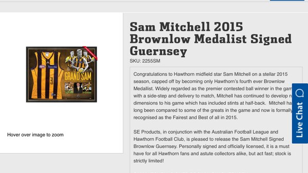 Screengrab of AFL.com.au's article on Sam Mitchell