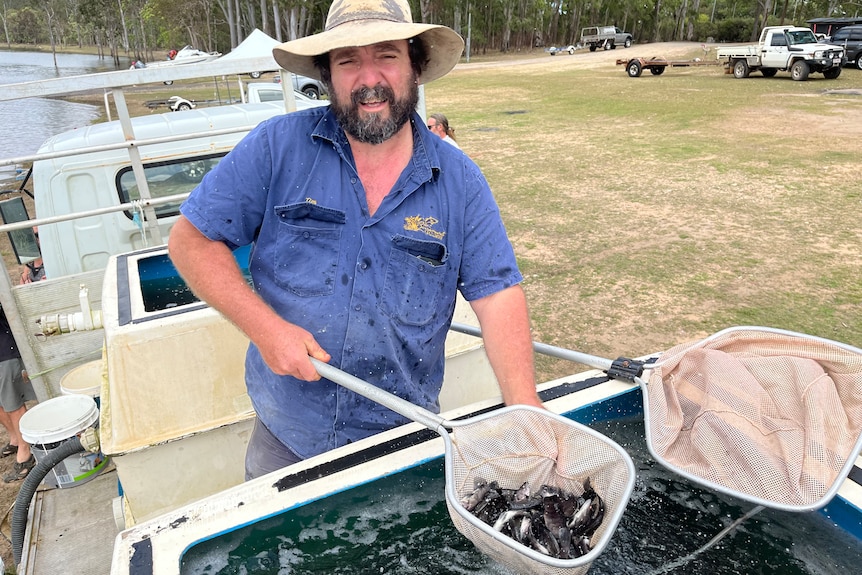 A man holds a net full of baby barramundi fish