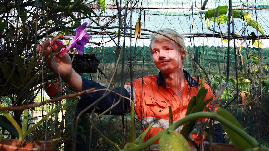 Cale Shoesmith in his greenhouse.