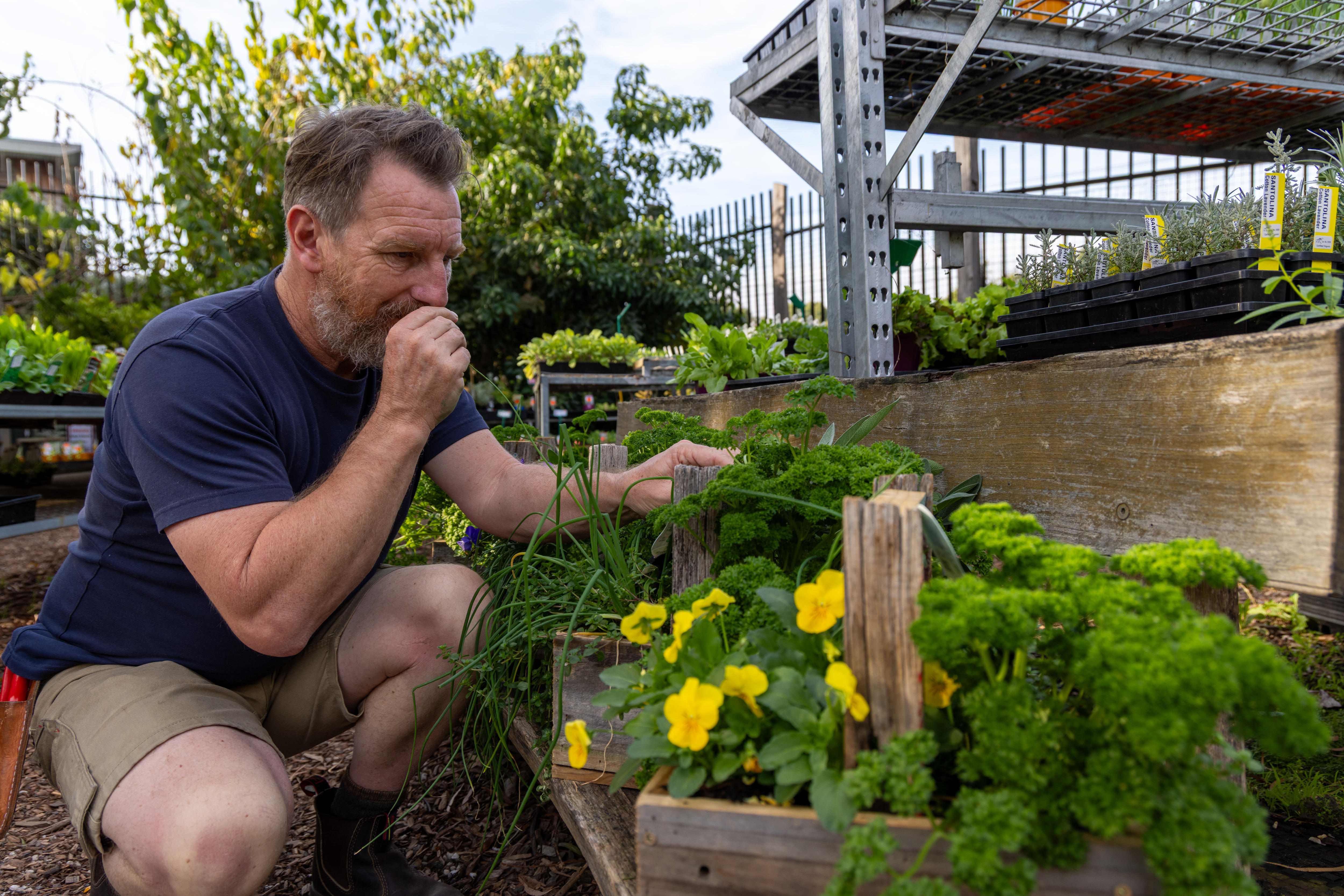 Melbourne horticulturalist Justin Calverley smelling parsley at Ceres nursery.