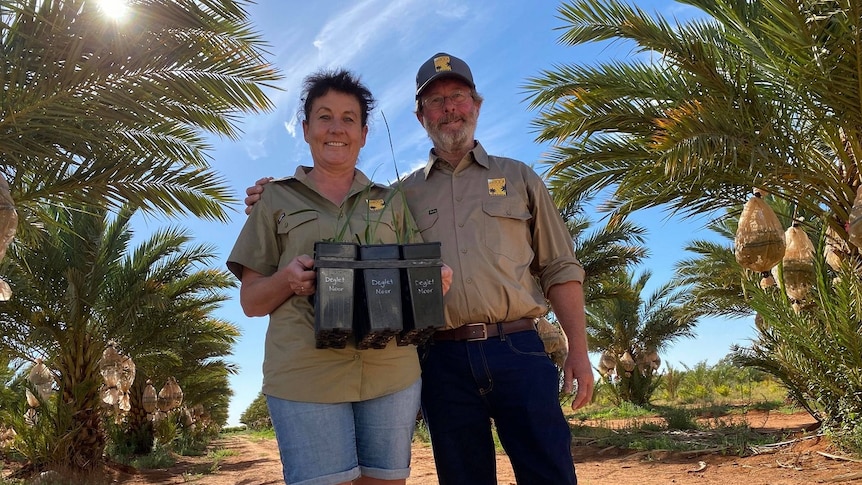 A woman and man stand side by side smiling, the woman is holding a black container with plants. There are date palms behind them