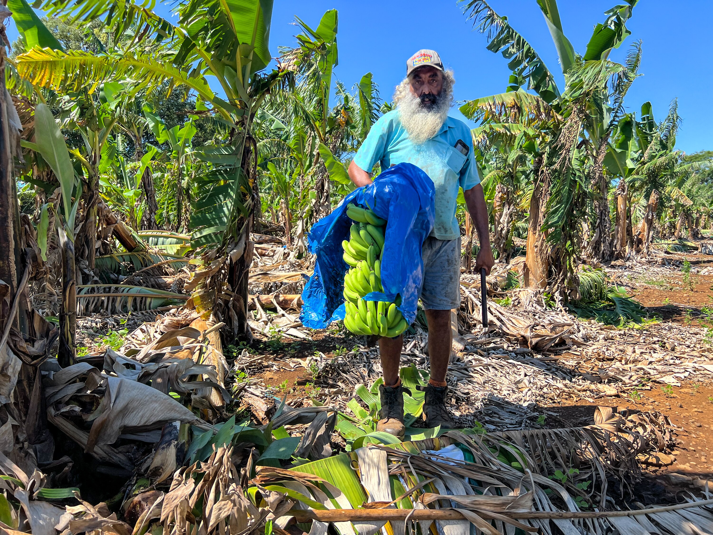 A man in a blue shirt holds up a bunch of bananas wrapped in a blue plastic bag.
