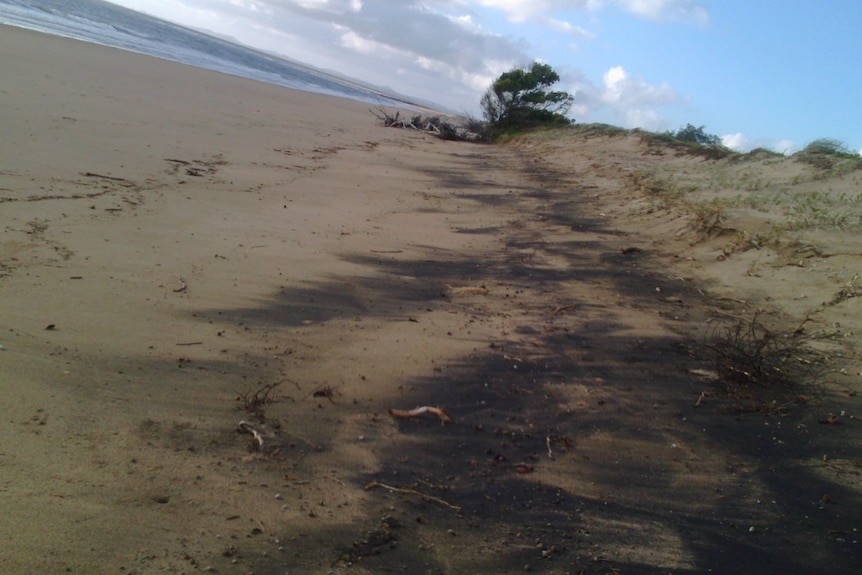 Coal dust on Mackay beach