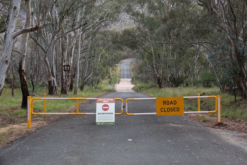 A gate blocks a road through bushland with a sign 'Road closed'.