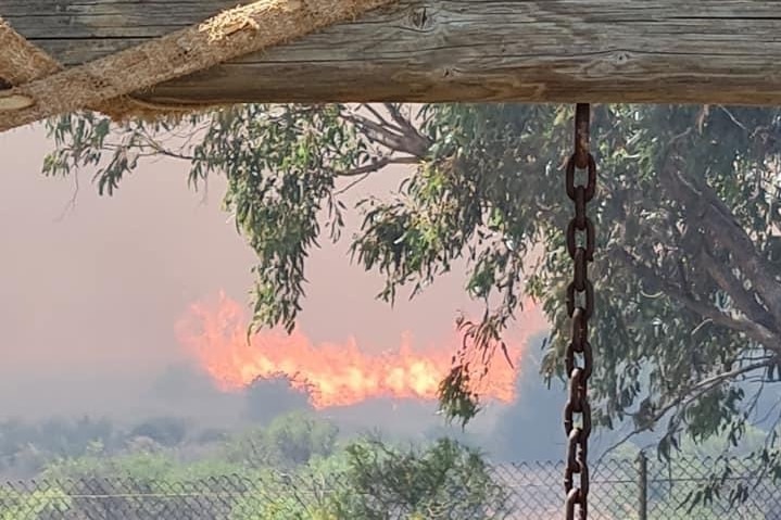 A picture of flames in bushland in the background, with a fence and rusty chain in the foreground.
