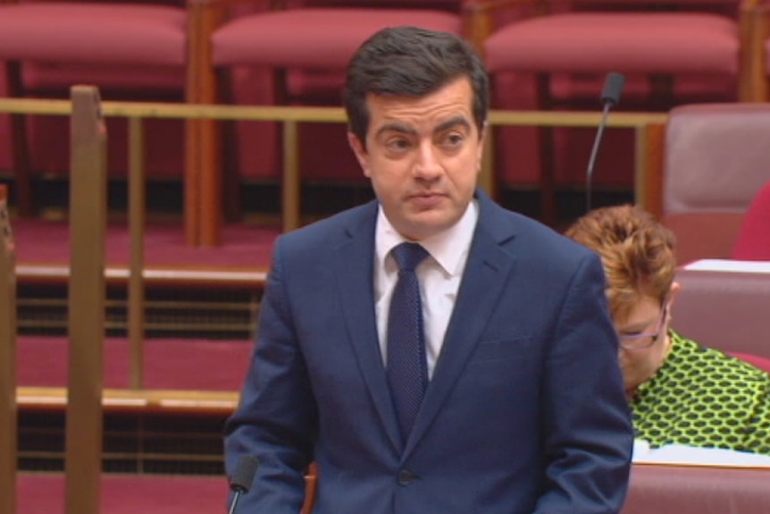 Sam Dastyari speaks to the Senate