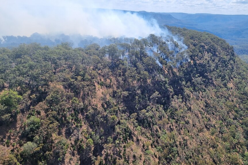 Aerial view of large plumes of smoke coming from trees 