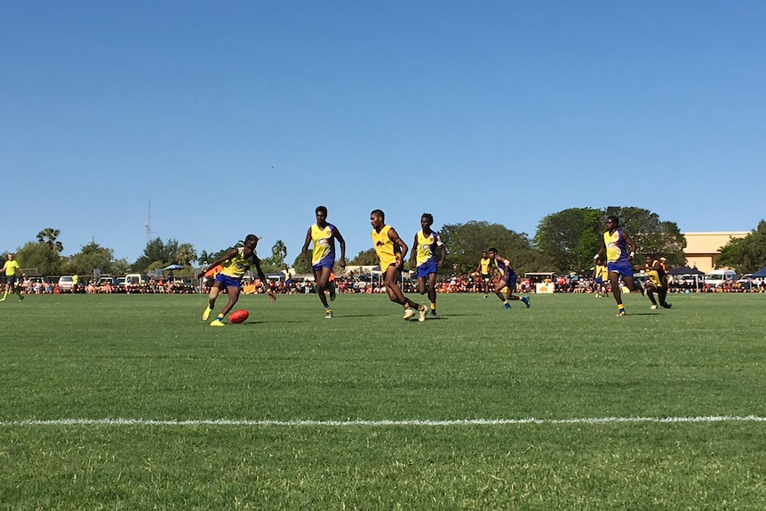 A group of footballers in yellow and blue jumpers compete for a ball on a sunny day on a green field