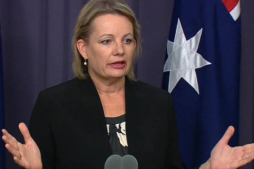 La ministre de la Santé, Sussan Ley, se tient sur un podium devant le drapeau australien