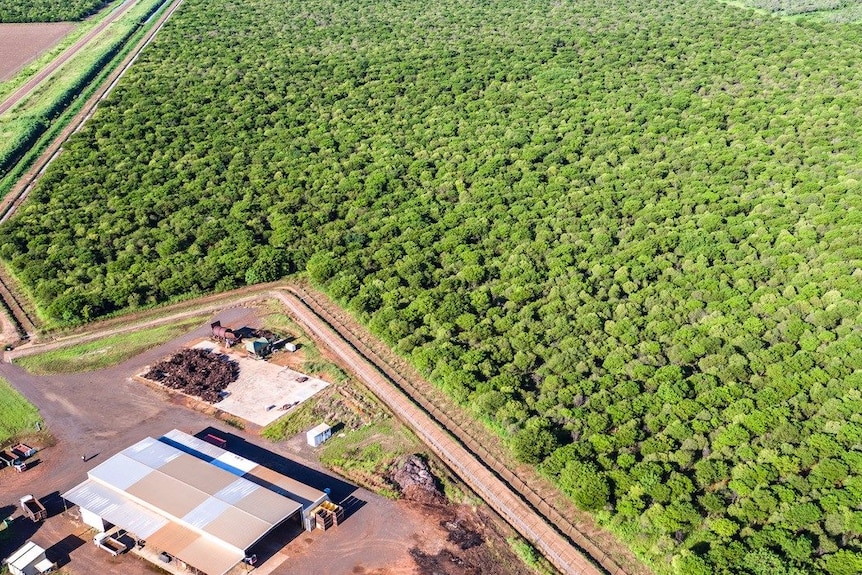 Aerial view of Indian sandalwood plantations and processing centre