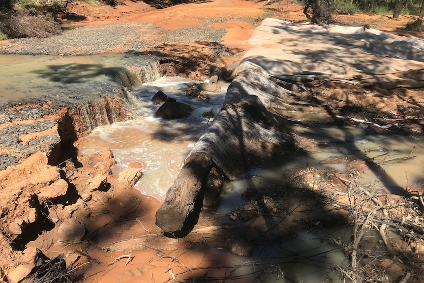 A large section of dirt road has been washed away after a tree fell across it.