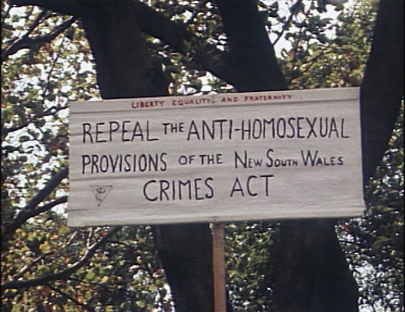 a banner in favourof gay rights on a tree which reads, repeal the anti-homosexual provision of nsw crimes act