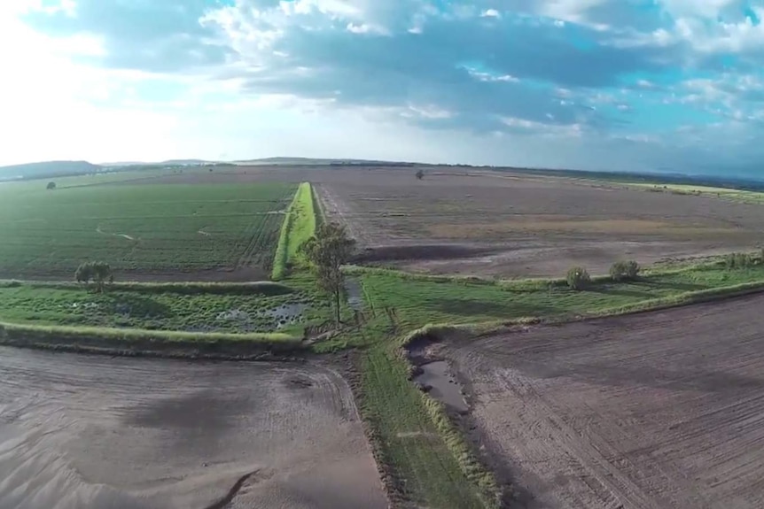 A drone's eye view of flood damage to Paul Heit's mung bean crops.