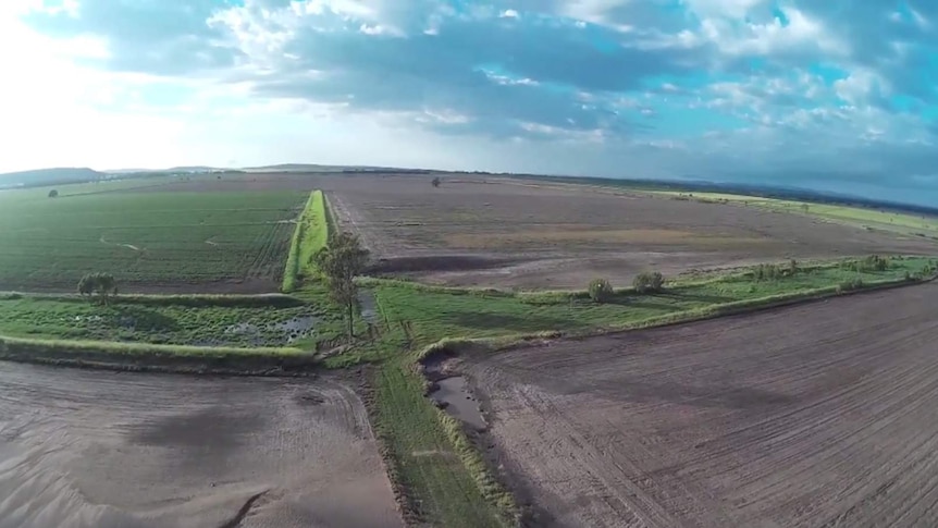 A drone's eye view of flood damage to Paul Heit's mung bean crops.