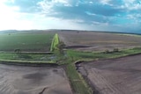 A drone's eye view of flood damage to Paul Heit's mung bean crops.