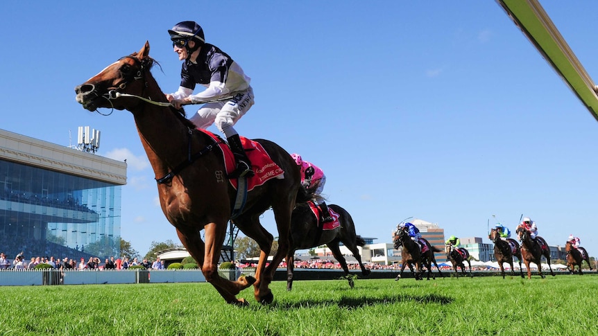 Craig Newitt riding Extreme Choice wins the Blue Diamond Stakes at Caulfield on February 27, 2016.