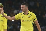 The Australian captain high-fives a bowler after he takes a wicket in a T20 International..