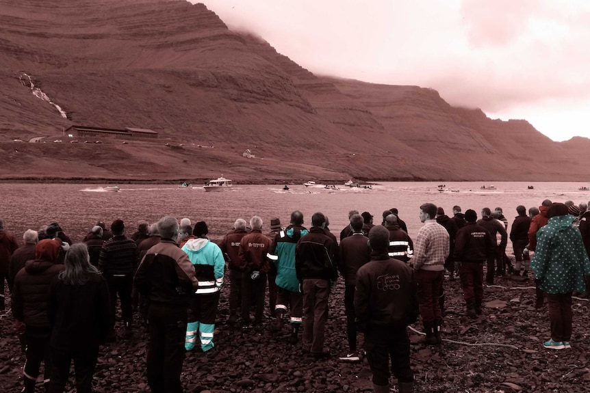 Faroese locals waiting for the pilot whales to arrive at the beach