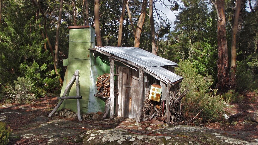 Existing hut on Halls Island