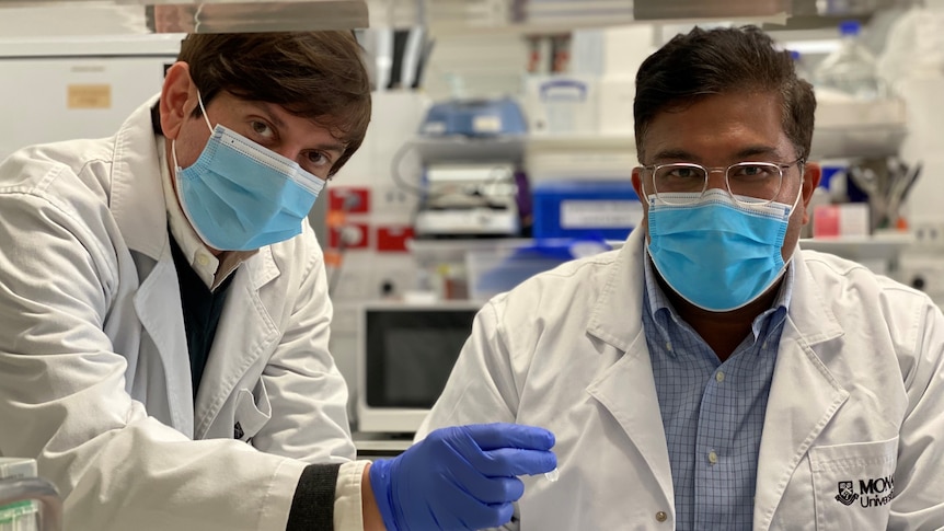 Two scientists in lab coats and wearing surgical masks in a clinical laboratory setting.