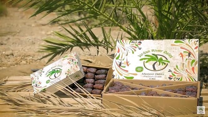 a box of dates with the jordan river dates logo