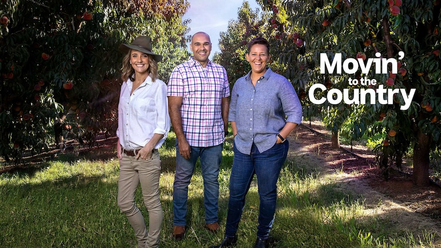 Three people in trousers or jeans and shirts, one wearing a hat, standing together in an orchid and smiling at the camera