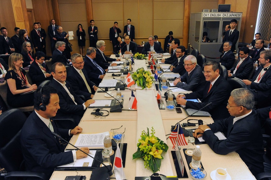 Trade ministers attend a TPP meeting in Singapore in 2014