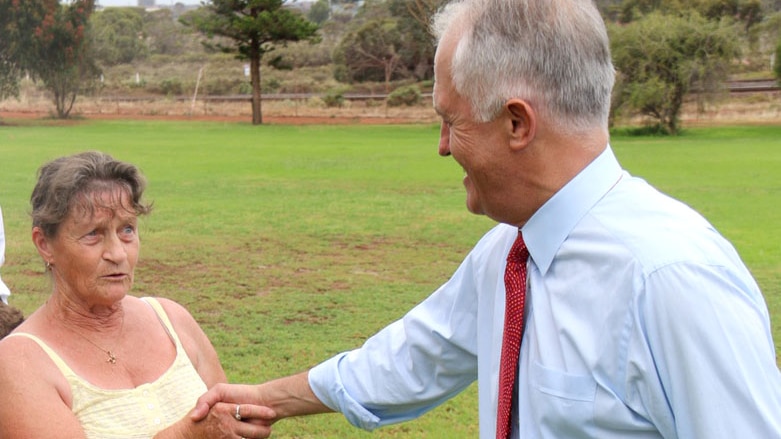 Raylene Mullins shakes hands with Malcolm Turnbull in a public park.