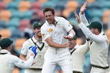 James Pattinson celebrates a wicket