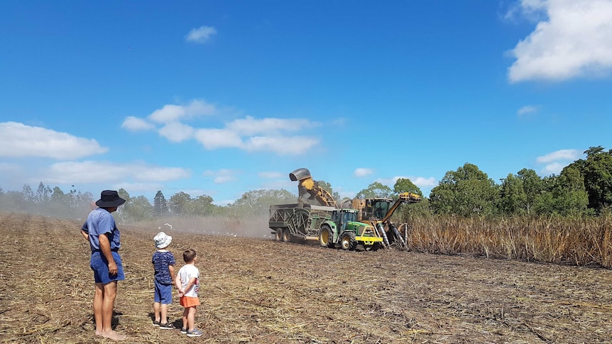 A man and two young children face a cane harvester harvesting burnt cane.