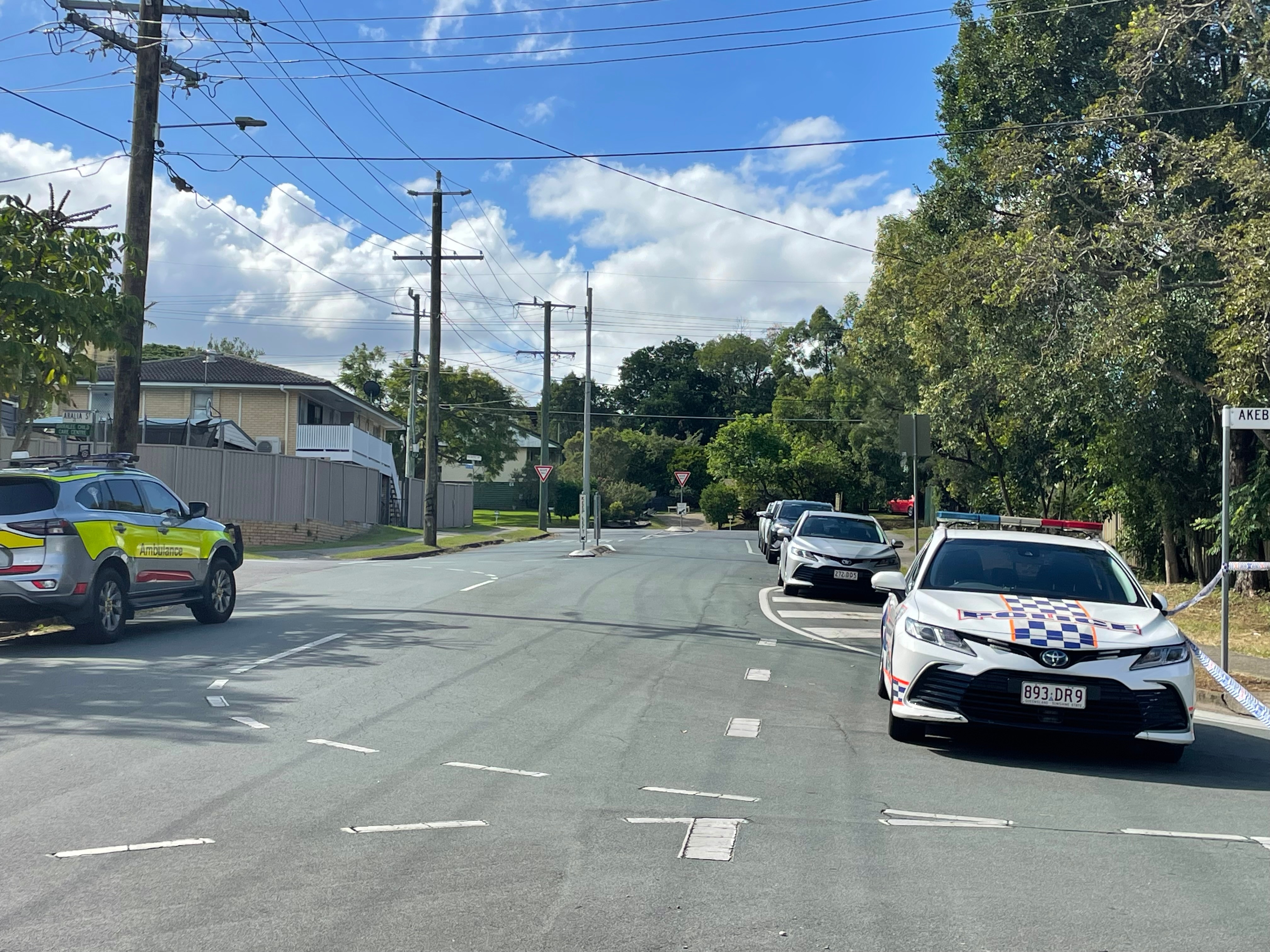 Police on a suburban street