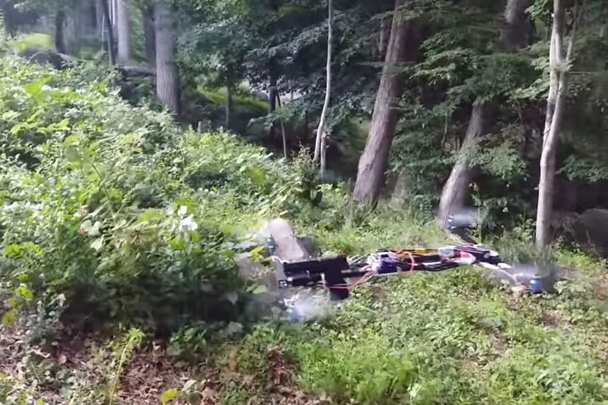 Alleged home-made drone firing handgun