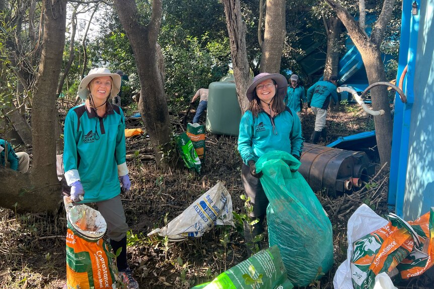 Volunteers with bags to clean pollution in mangroves.