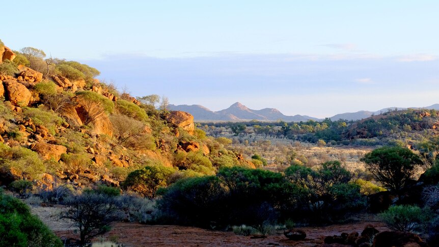 Rugged landscape in the APY Lands.