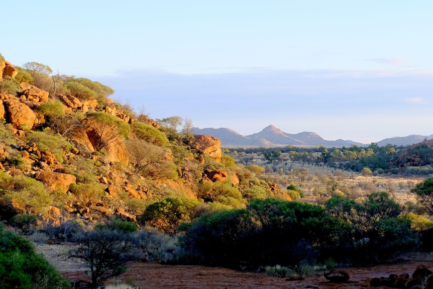 Rugged landscape in the APY Lands.