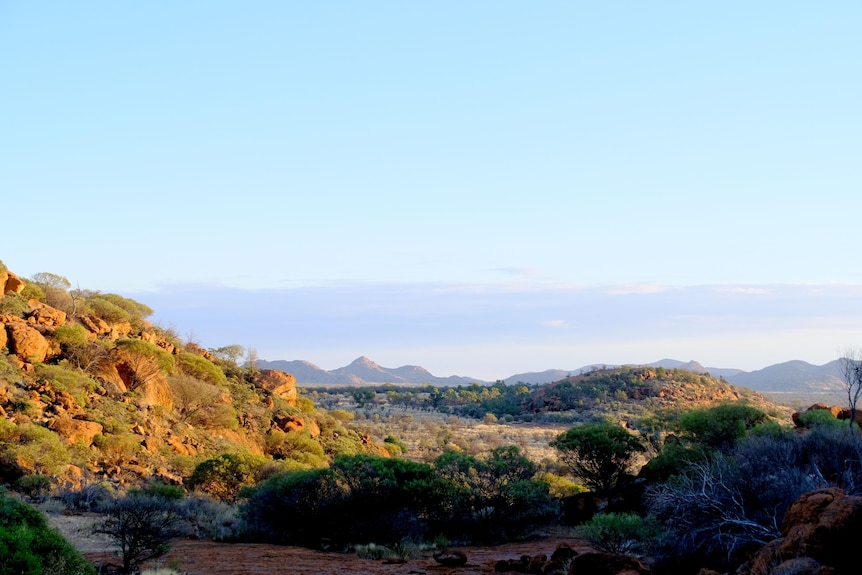 Rugged landscape in the APY Lands.