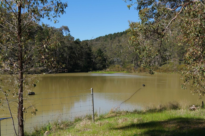 The Roelands dam.