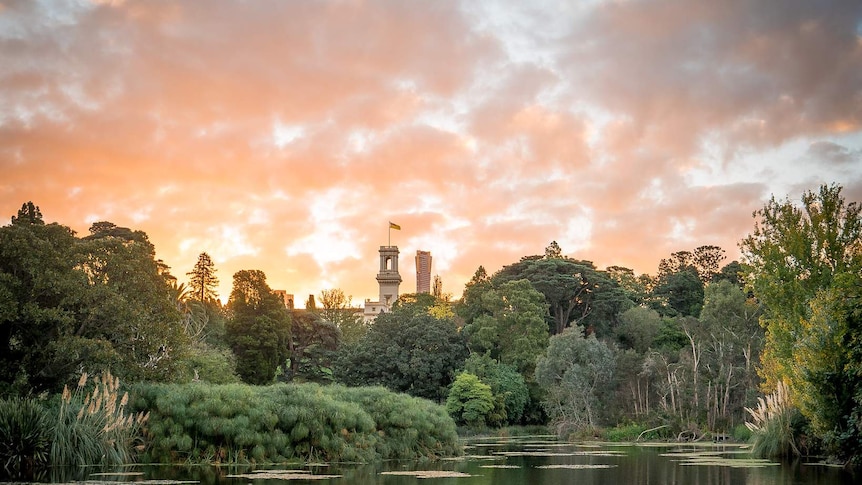 At golden hour, you look across a lake lined by a wall of trees, with Victoria's Government House poking out from behind.