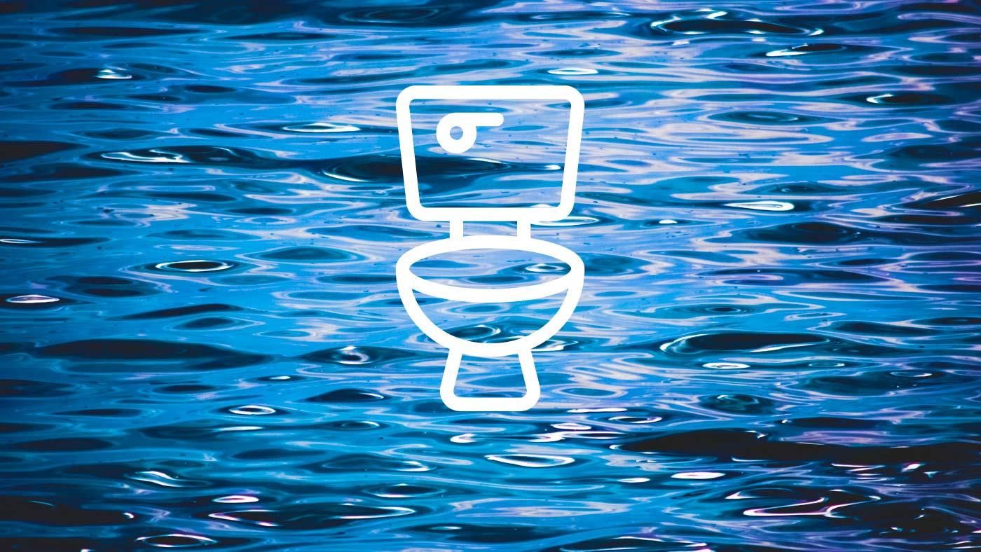 Where Does Toilet Water Go Behind The News