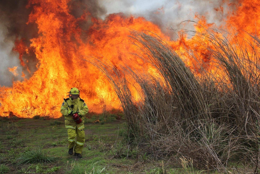 A firefighter walks away from a big grass fire.