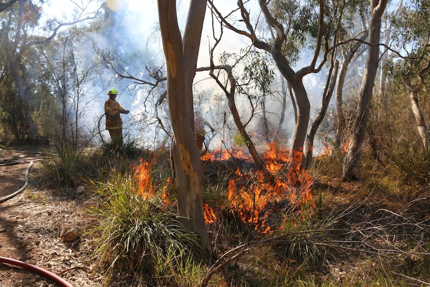 Firefighters hose down a fire in bushland.