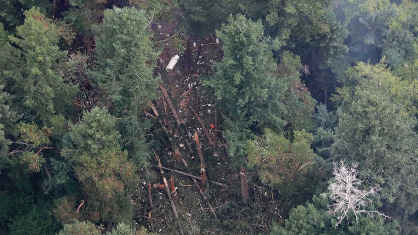 Aerial view of the forest on Ketron Island in Washington state where an empty Horizon Air turboprop plane crashed.