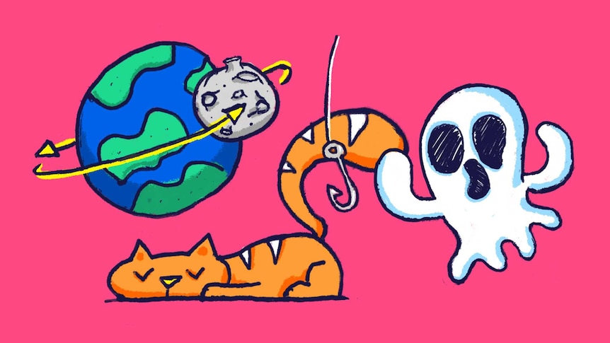 Illustration shows a cartoon ghost, kitten being fished and planet being orbited