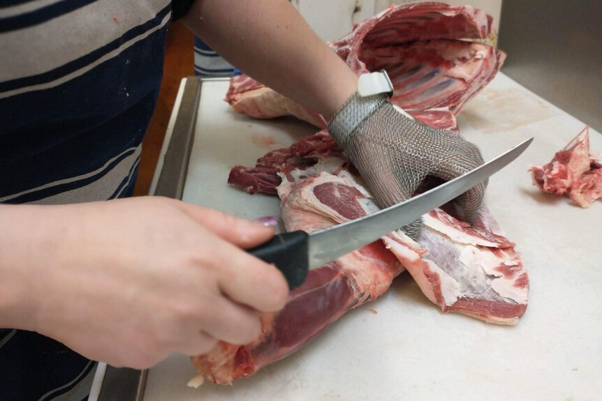A white hand holds a sharp knife, one wears a mesh glove. The purple painted fingernailed hand cuts into a cut of red meat