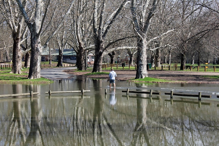 A man walks through a flooded park