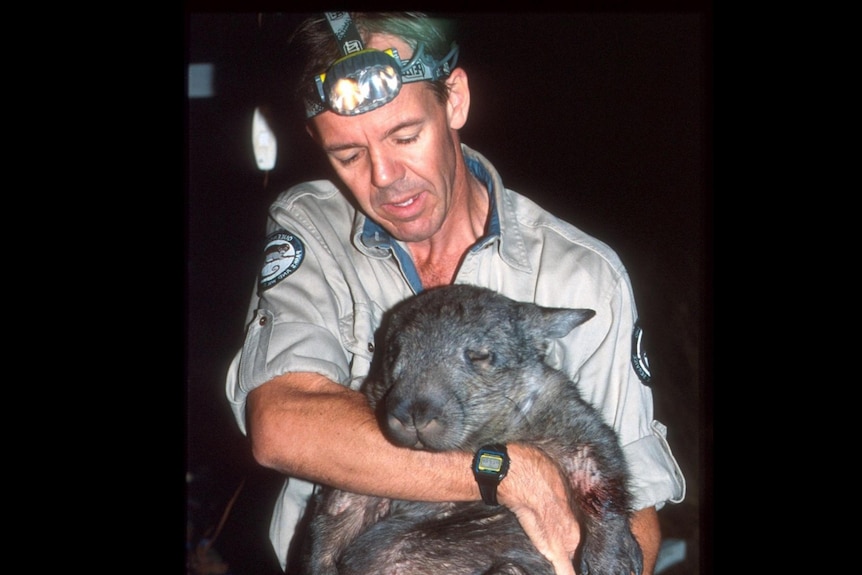 A man wearing a khaki shirt holds a wombat which is asleep