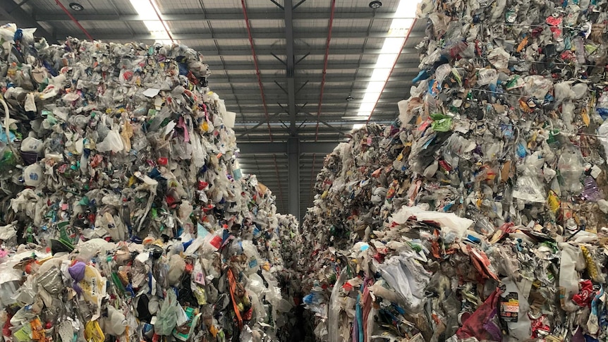 Huge piles of baled recyclable waste tower up towards the roof of a large warehouse, photographed from inside.